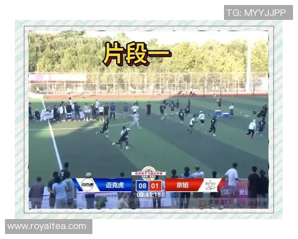 赛后分析:北京飞盘队与杭州飞盘队的实力对决与战术解析 赛后分析:北京飞盘队与杭州飞盘队的实力对决与战术解析