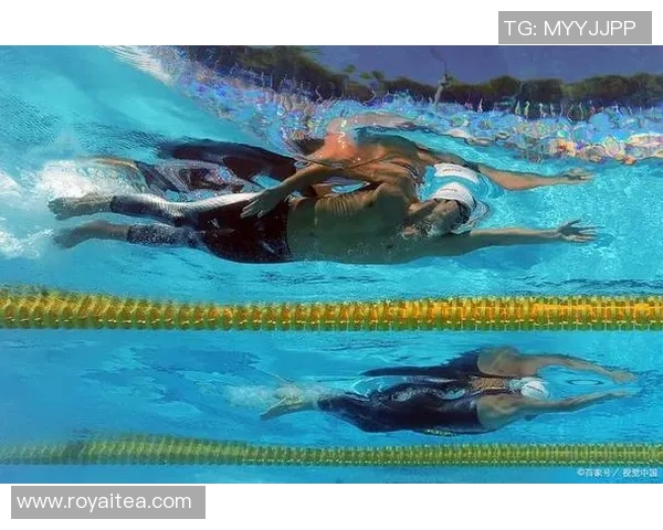 蝶泳的健康益处:全面提升心肺功能、增强肌肉力量与改善身体柔韧性的全方位分析 蝶泳的健康益处:全面提升心肺功能、增强肌肉力量与改善身体柔韧性的全方位分析